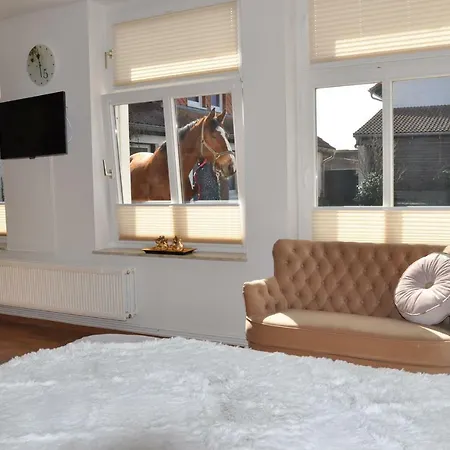 Reitanlage Bei Altefaehr Appartamento Rambin