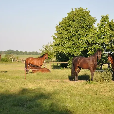 Appartamento Reitanlage Bei Altefaehr *