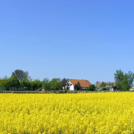 Reitanlage Bei Altefaehr