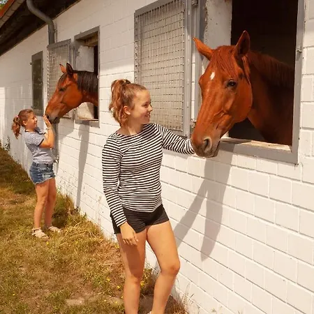 Reitanlage Bei Altefaehr * Rambin
