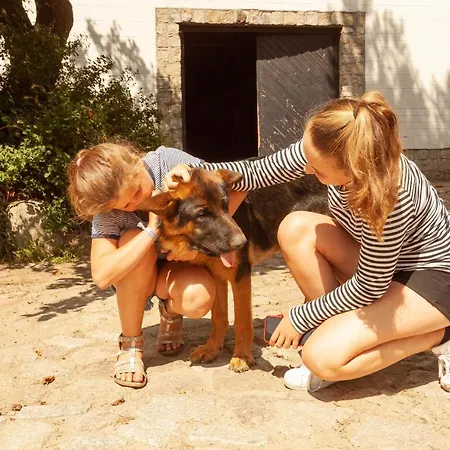 Appartamento Reitanlage Bei Altefaehr