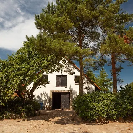 Reitanlage Bei Altefaehr Appartamento